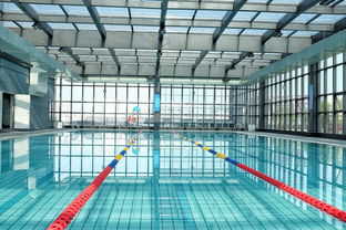 开云体育娱乐-世界游泳锦标赛中国运动员连续夺牌，世界游泳锦标赛中国运动员连续夺牌几次